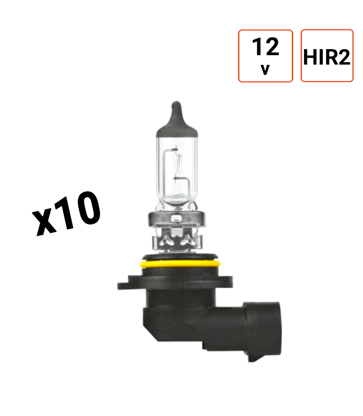 Ampoule HiR2 12V 55W Culot PX22d - Boite de 10 ex.