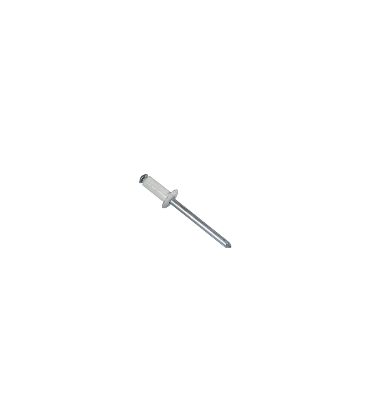 Sachet 25x rivet plaque d'immat. Blanc