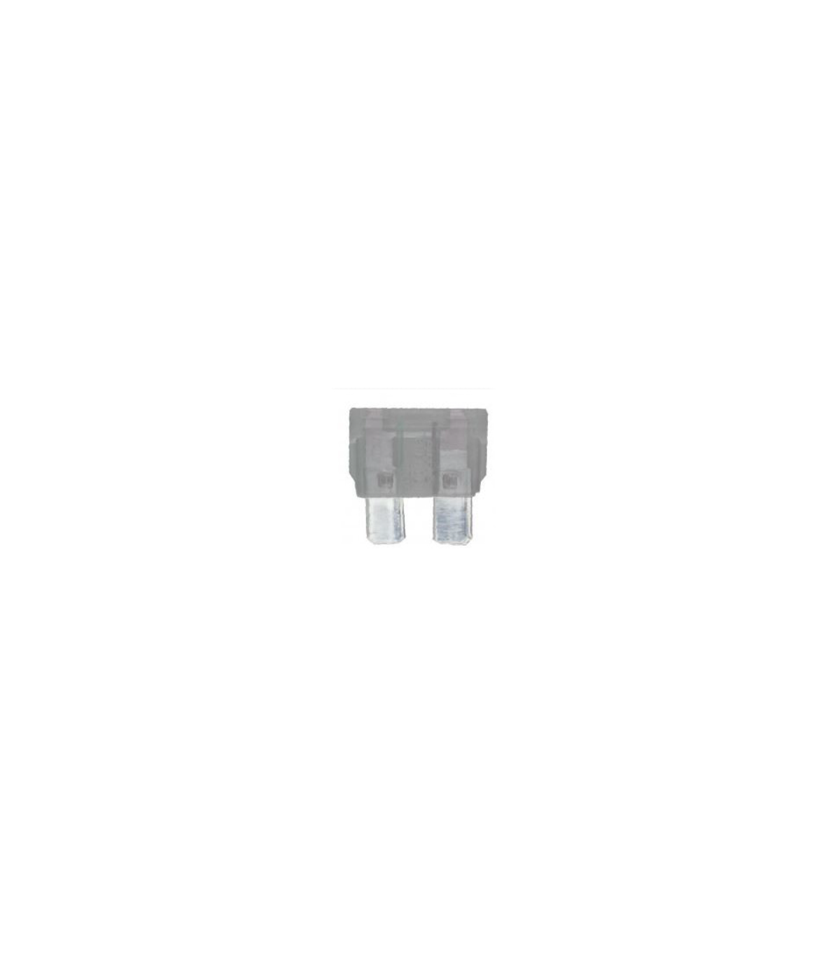 Fusible voiture Standard 2A par 100 ex
