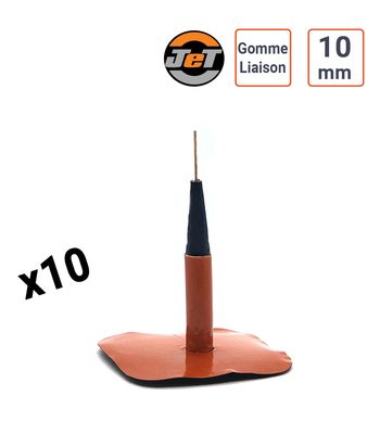 Chevilles champignon 10mm + gomme de liaison JET par 10 ex.