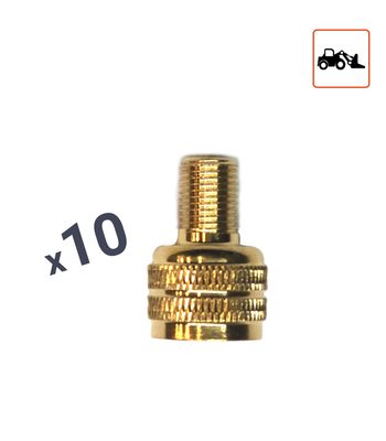 Embout convertisseur valves Génie Civil vers Poids Lourds par 10 ex.