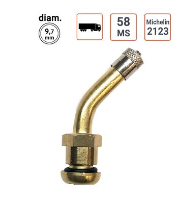 valve Poids Lourds type Michelin 2123 ou 58MS par 10 ex.