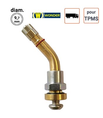 Valve Nickelées Poids-Lourds pour TPMS type 2123