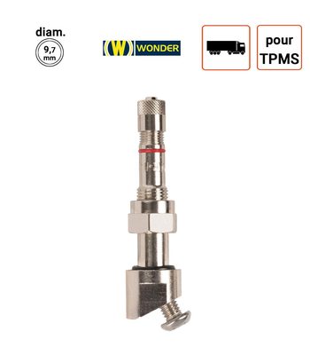 Valve Nickelées Poids-Lourds pour TPMS type 54MS