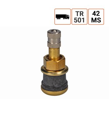 Valve Poids Lourds TR 501 ou 42MS par 10 ex.