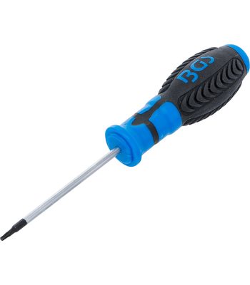 Tournevis Torx T9 80 mm
