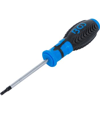 Tournevis Torx T20 80 mm