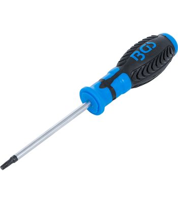 Tournevis Torx T25 100 mm