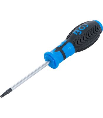 Tournevis Torx avec perçage T20 80 mm