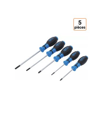 Lot de 5 tournevis cruciforme et à fente